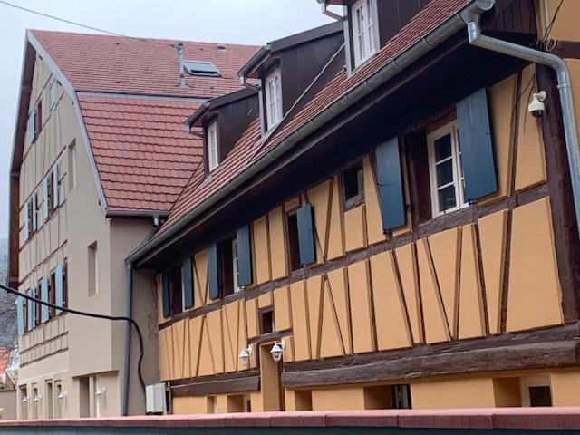 Coeur D'Alsace Colmar Vignobles Ouest Avec Terrasses Villa Wintzenheim Luaran gambar