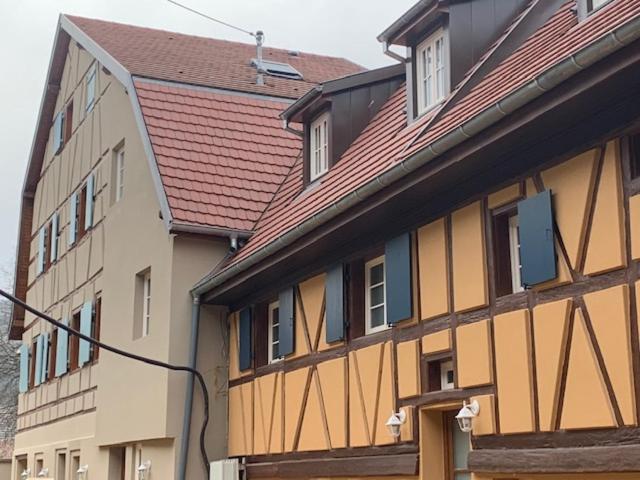 Coeur D'Alsace Colmar Vignobles Ouest Avec Terrasses Villa Wintzenheim Luaran gambar