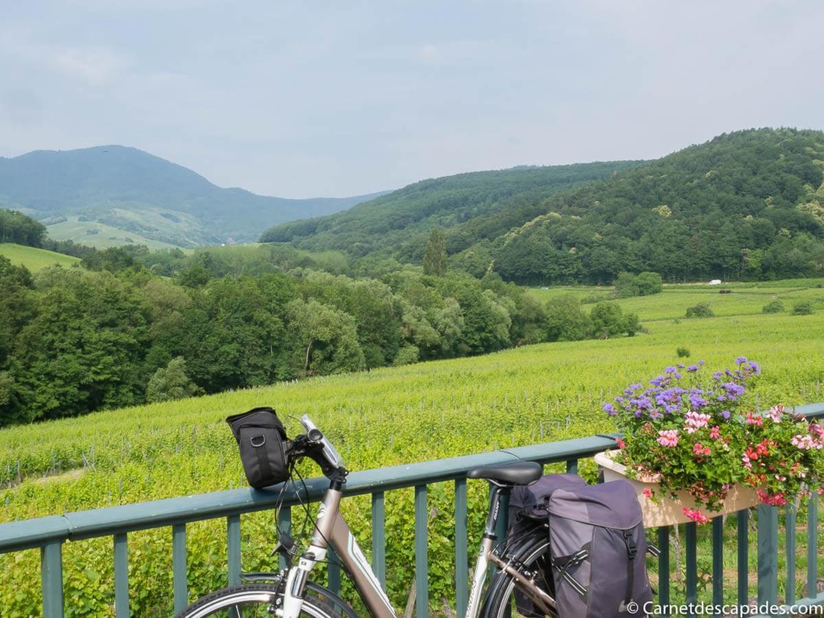 Coeur D'Alsace Colmar Vignobles Ouest Avec Terrasses Villa Wintzenheim Luaran gambar