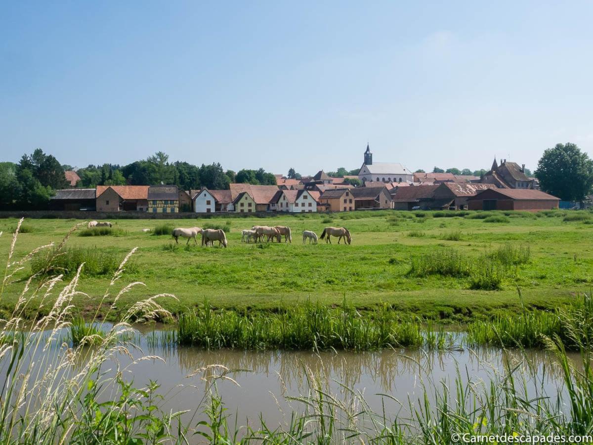 Coeur D'Alsace Colmar Vignobles Ouest Avec Terrasses Villa Wintzenheim Luaran gambar