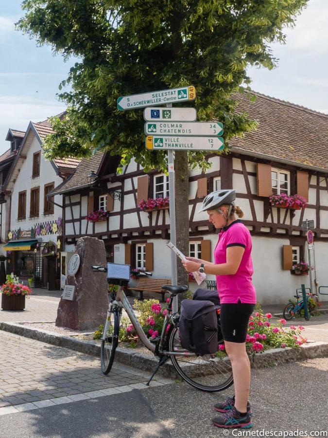 Coeur D'Alsace Colmar Vignobles Ouest Avec Terrasses Villa Wintzenheim Luaran gambar