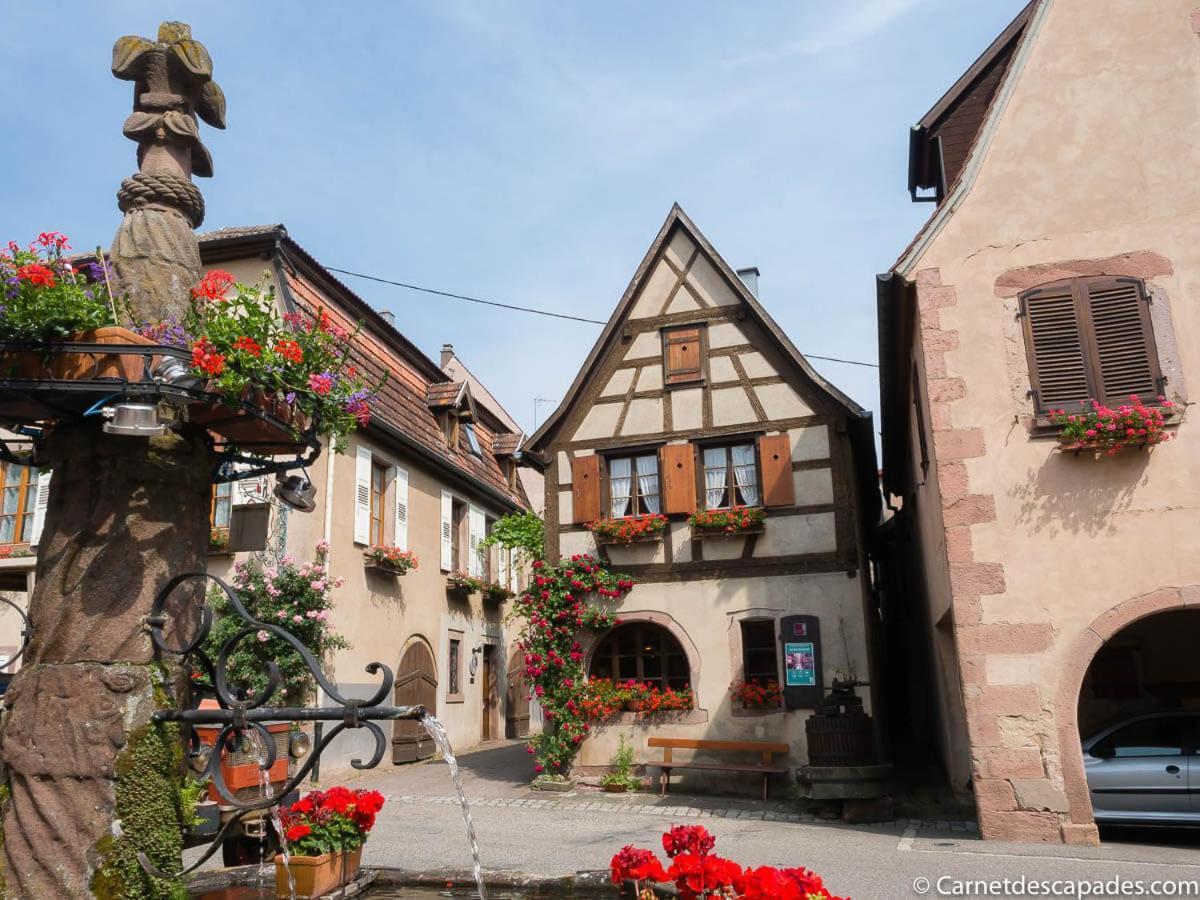 Coeur D'Alsace Colmar Vignobles Ouest Avec Terrasses Villa Wintzenheim Luaran gambar