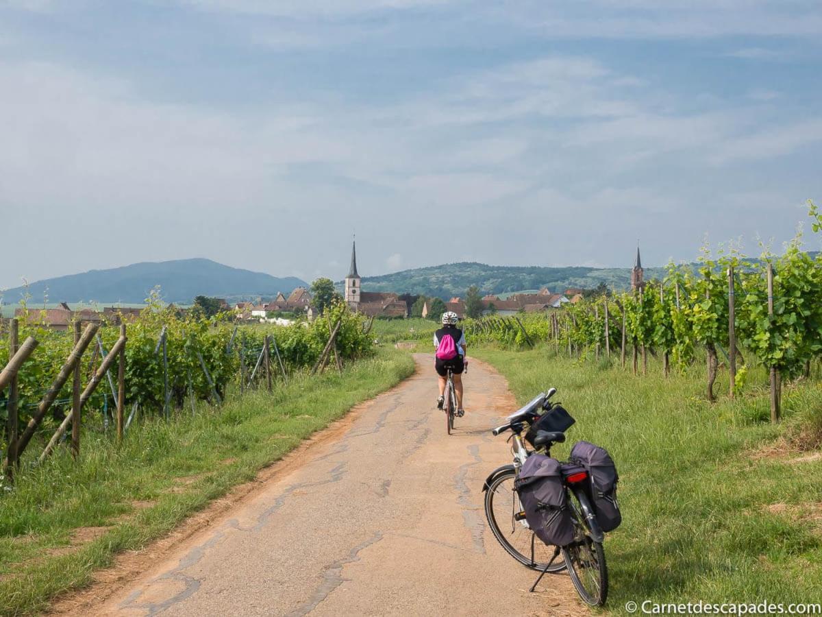Coeur D'Alsace Colmar Vignobles Ouest Avec Terrasses Villa Wintzenheim Luaran gambar