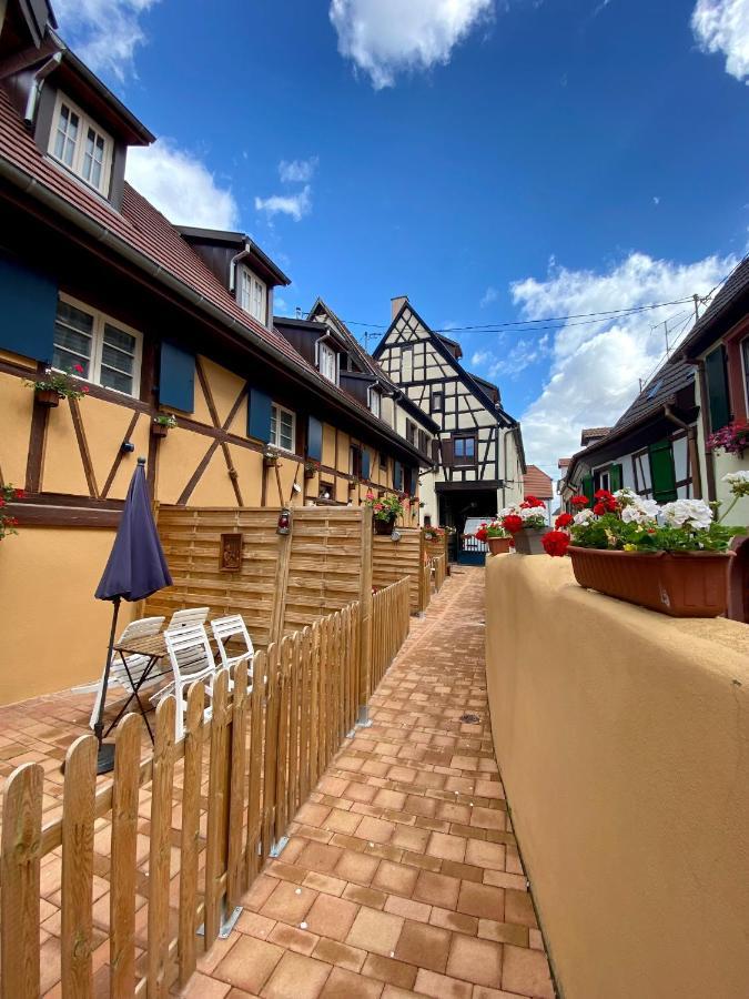 Coeur D'Alsace Colmar Vignobles Ouest Avec Terrasses Villa Wintzenheim Luaran gambar