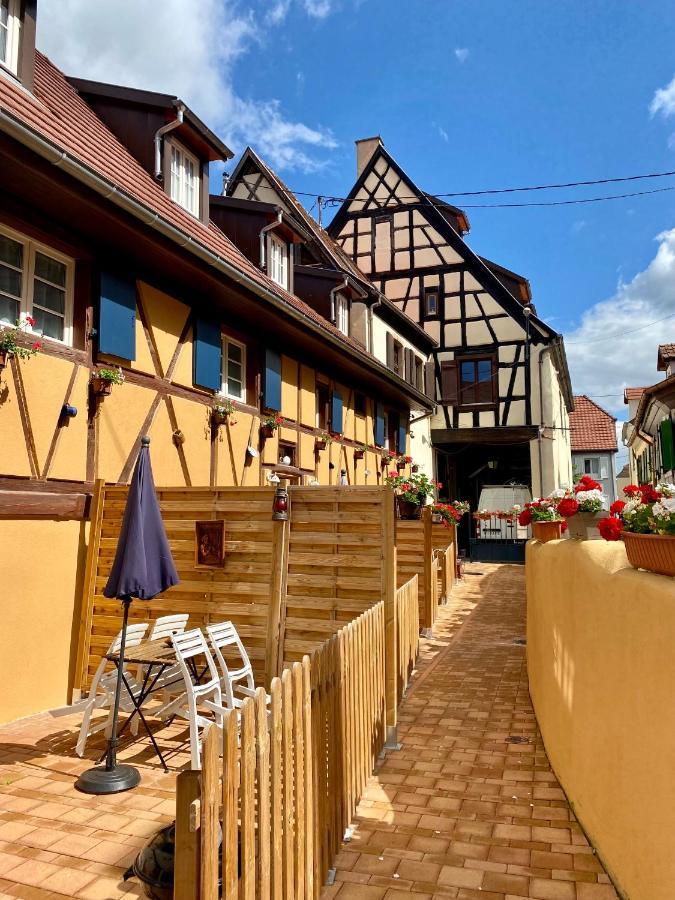 Coeur D'Alsace Colmar Vignobles Ouest Avec Terrasses Villa Wintzenheim Luaran gambar