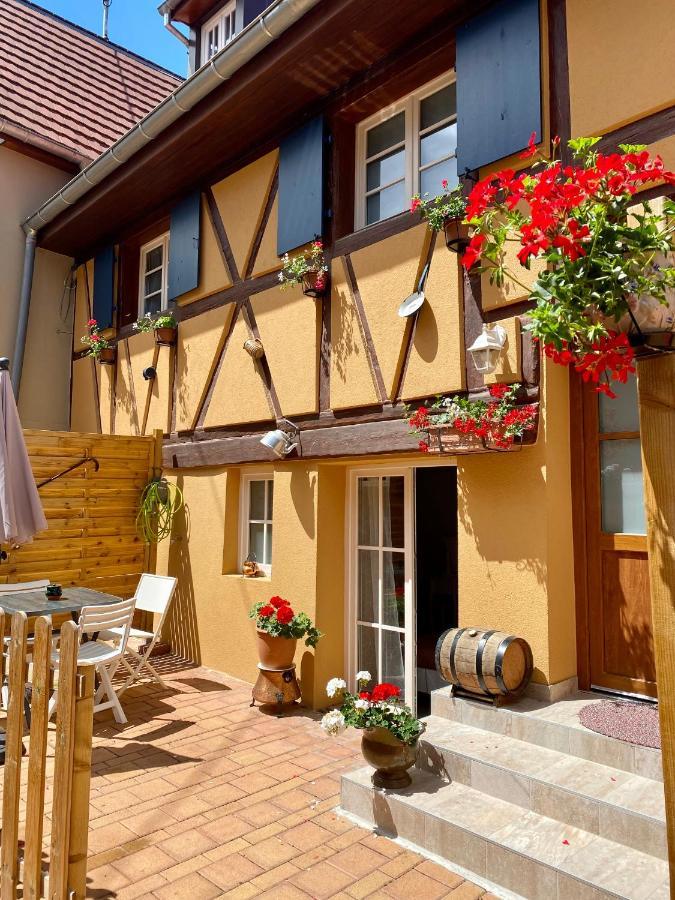 Coeur D'Alsace Colmar Vignobles Ouest Avec Terrasses Villa Wintzenheim Luaran gambar