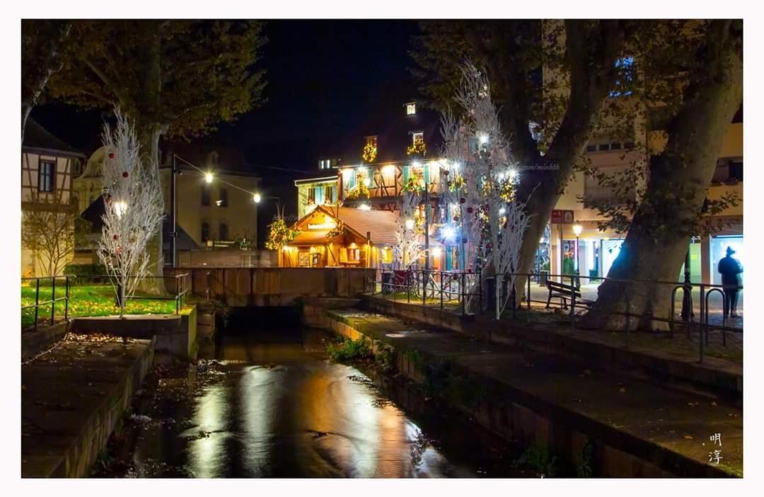 Coeur D'Alsace Colmar Vignobles Ouest Avec Terrasses Villa Wintzenheim Luaran gambar