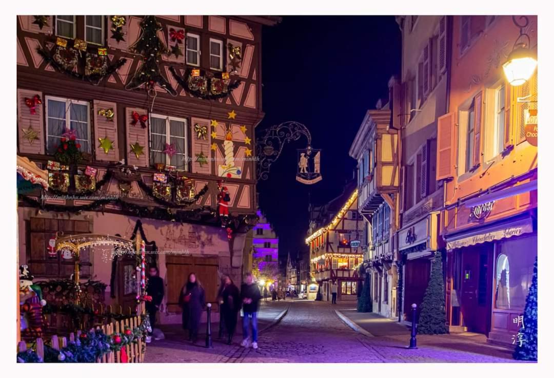 Coeur D'Alsace Colmar Vignobles Ouest Avec Terrasses Villa Wintzenheim Luaran gambar