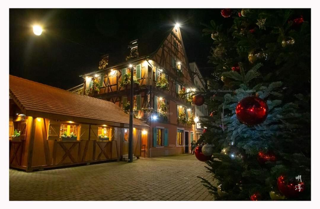 Coeur D'Alsace Colmar Vignobles Ouest Avec Terrasses Villa Wintzenheim Luaran gambar