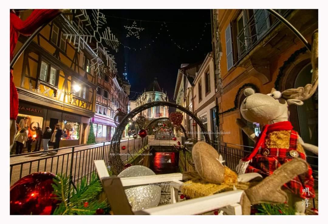 Coeur D'Alsace Colmar Vignobles Ouest Avec Terrasses Villa Wintzenheim Luaran gambar