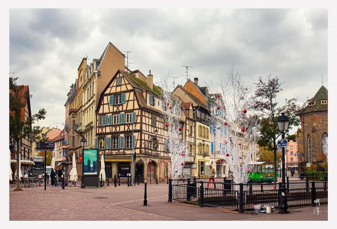 Coeur D'Alsace Colmar Vignobles Ouest Avec Terrasses Villa Wintzenheim Luaran gambar