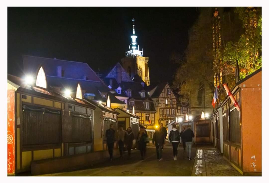 Coeur D'Alsace Colmar Vignobles Ouest Avec Terrasses Villa Wintzenheim Luaran gambar